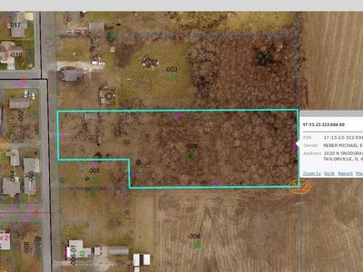 1020 N Snodgrass St, Taylorville, IL, 62568