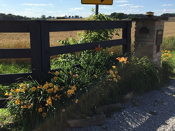 Front Entrance by Mailbox