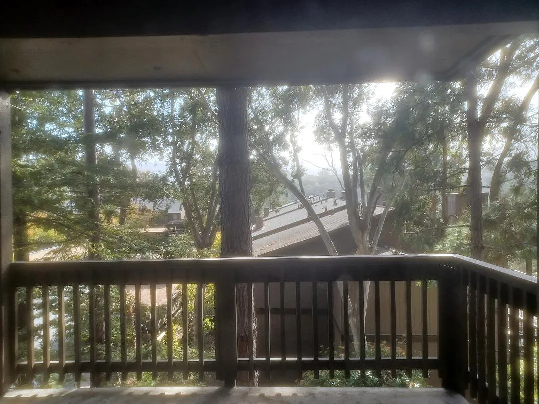 La Mesa Dr, San Carlos — Photo 2