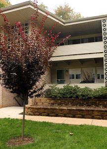 124 Haycock Rd APT B2, Falls Church, VA, 22046