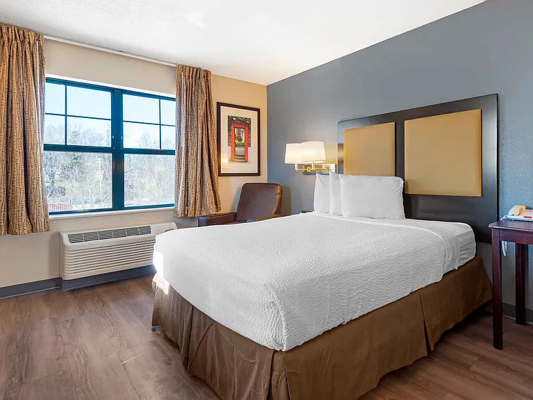 Studio Suite - 1 Queen Bed