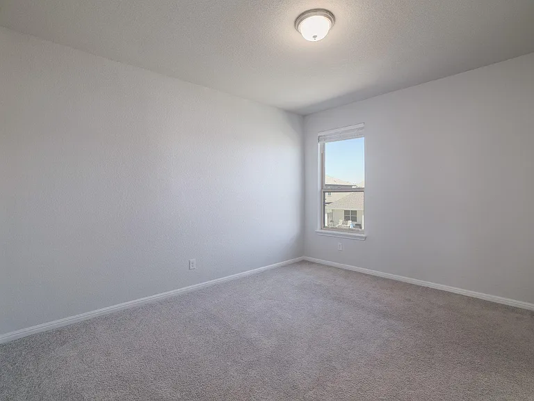 153 Brady Creek Way — Photo 25