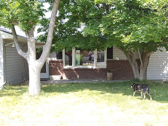 ash, maple trees, front