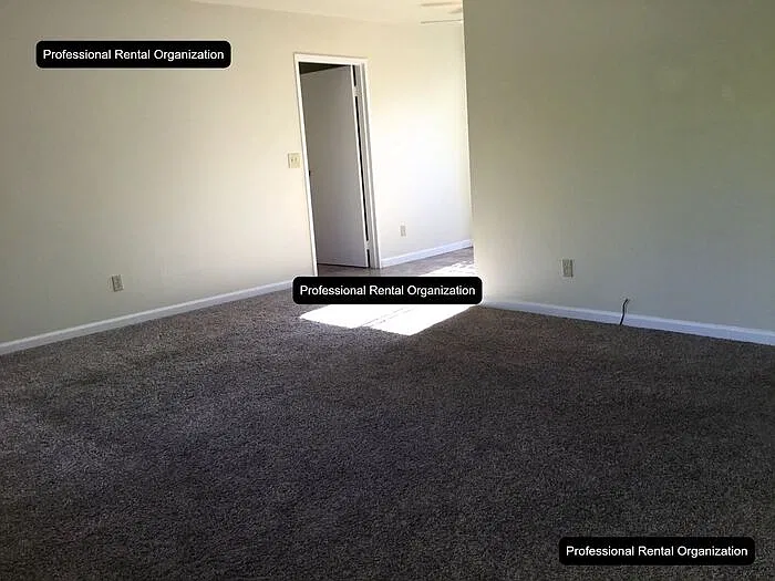 2 bed, 1.0 bath, 900 sqft, $2,275 — Photo 4