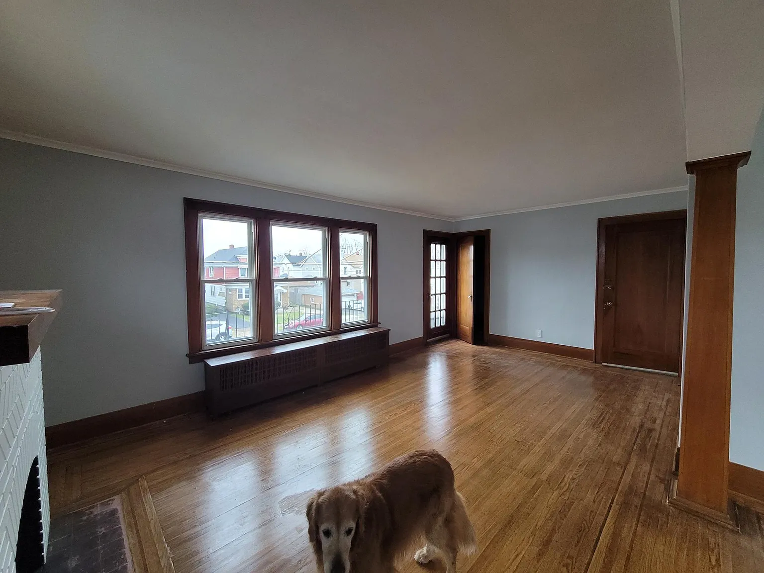 16 Godfrey St — Photo 2
