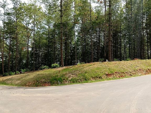 Huge CORNER lot E to W "greenspace