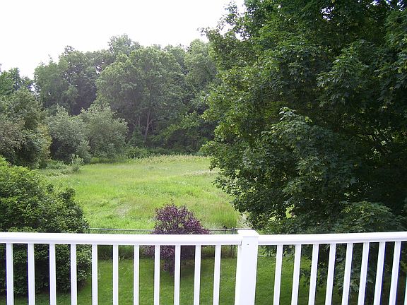 Deer and turkeys for neighbors.