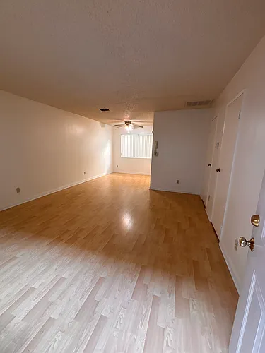 446-448 Myrtle St #448-3 Photo 1