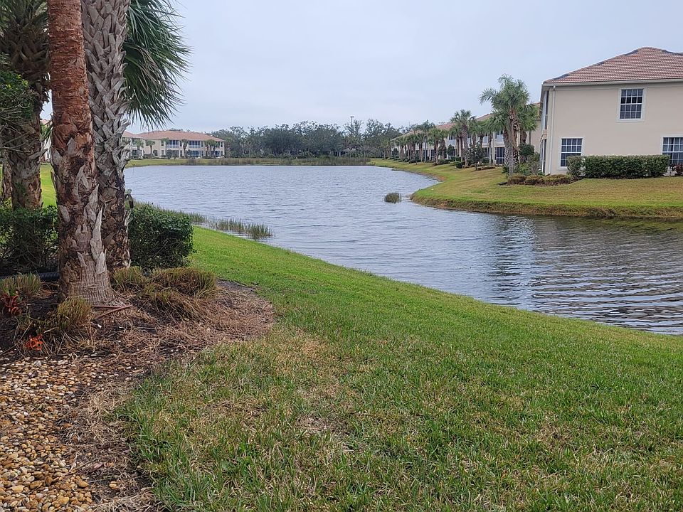 Pond View
