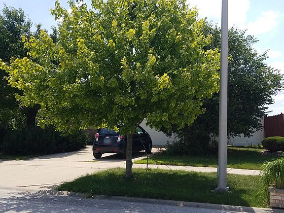 3rd image of 9225 Almond Ln