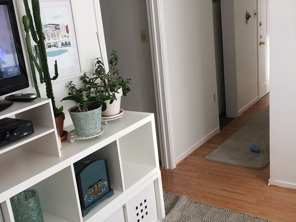 Living/Hallway
