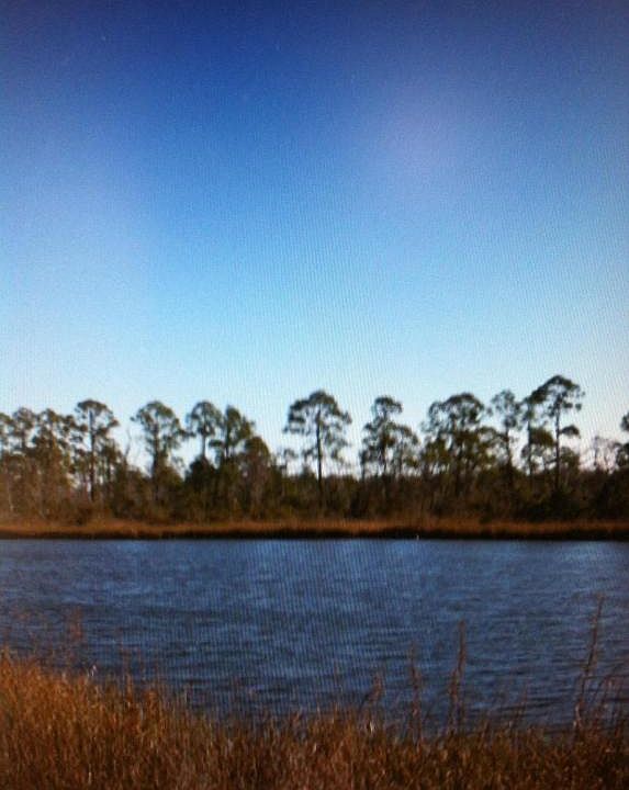 2nd image of 447 Whitfield Rd