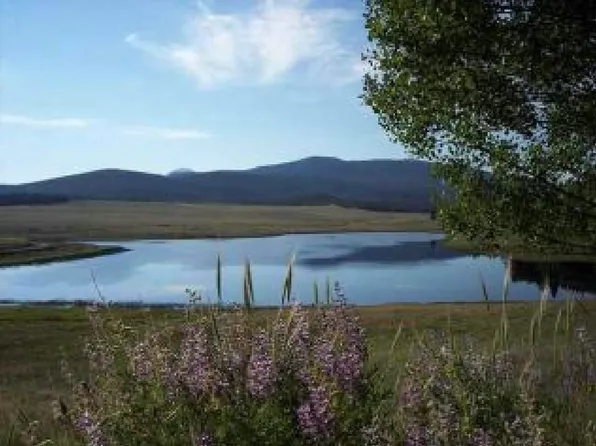 2352 Benton Pl, Fort Garland, CO 81133