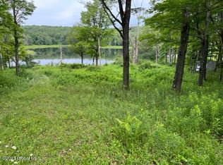 61 Thunder Hill Rd, Rensselaerville, NY 12147