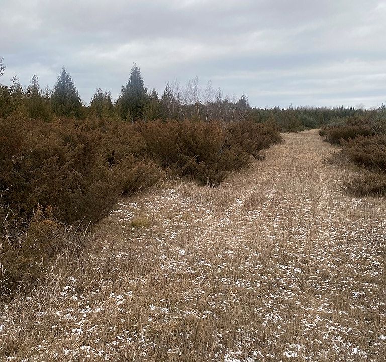 2nd image of Grove Rd