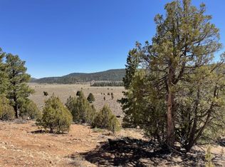 514 N Black Rock Valley Rd, Panguitch, UT 84759
