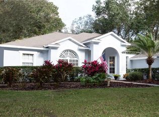 15010 Eaglerise Dr, Lithia, FL 33547