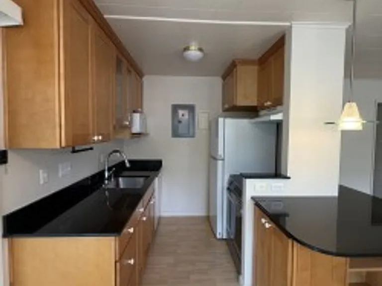 Massol Ave 225 (10) — Photo 11