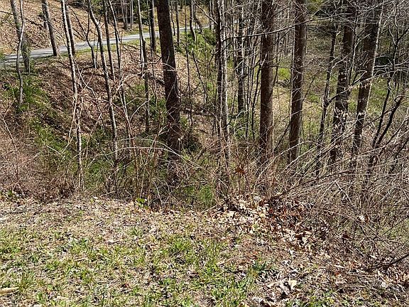 2nd image of Lots 333 335 337 N Country Club Dr