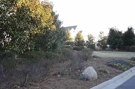 Royal Winchester Dr — Photo 40