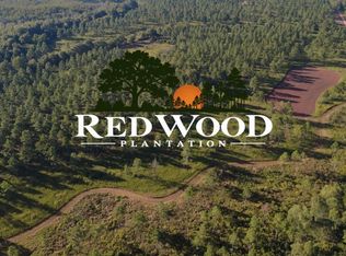 0 Bo Didley Rd, Bronwood, GA 39826