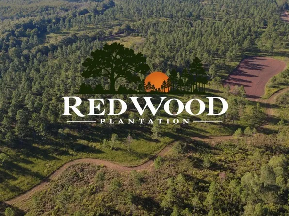 0 Bo Didley Rd, Bronwood, GA 39826