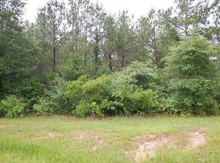 29500 Sorrel Ln, Waller, TX 77484