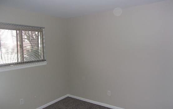 3rd image of 11256 Plumridge Blvd
