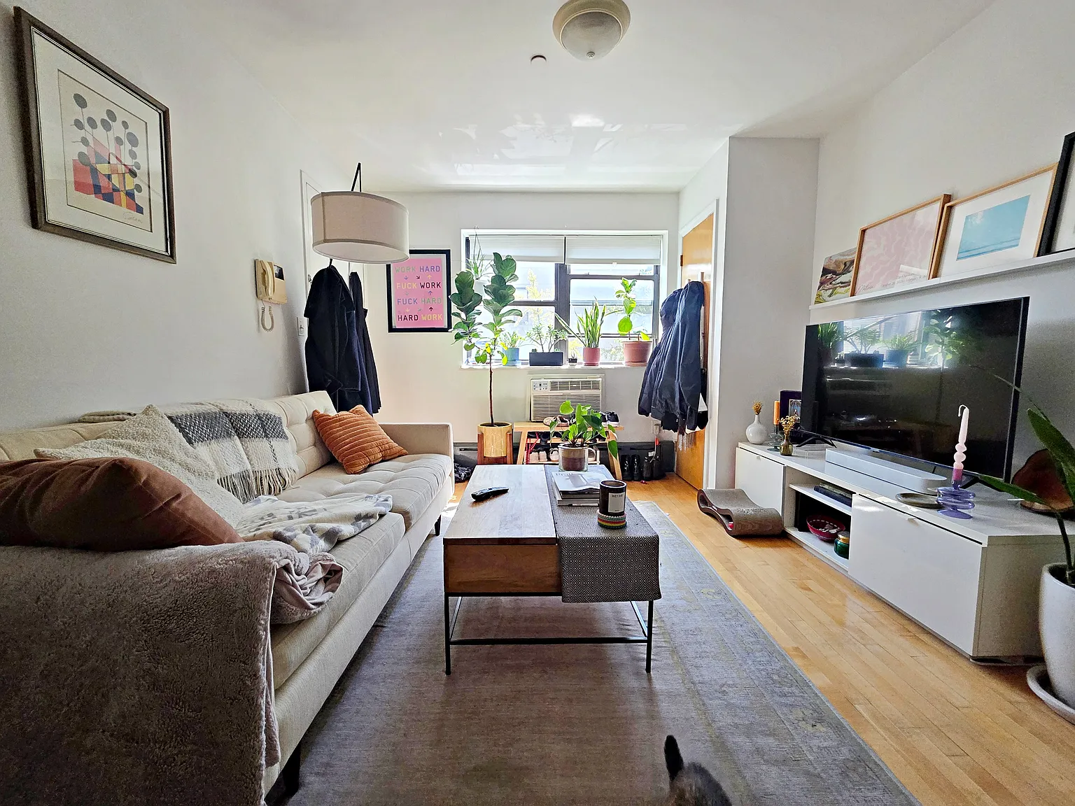 47 Conselyea Street — Photo 3