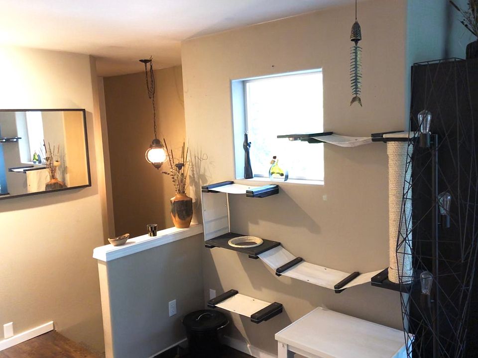 Wall-mounted kitty condo/tree and furniture litter box will be available for your cat's enjoyment.