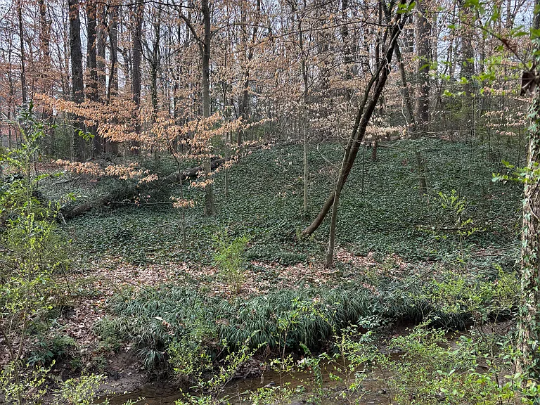 Landover Dr — Photo 6