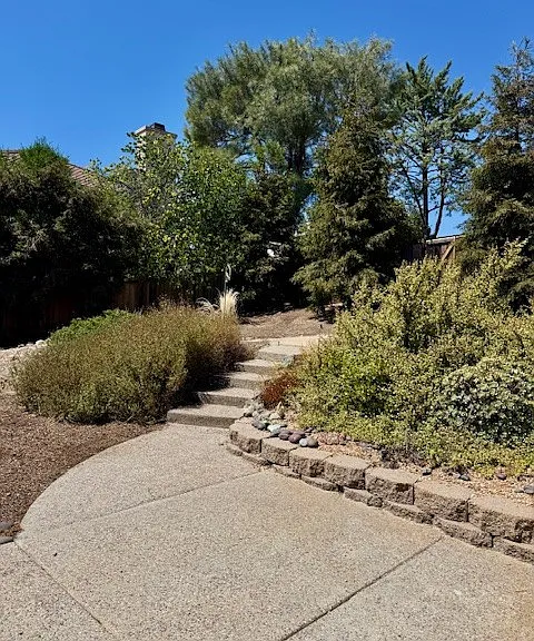 5117 Myrtle Dr — Photo 19