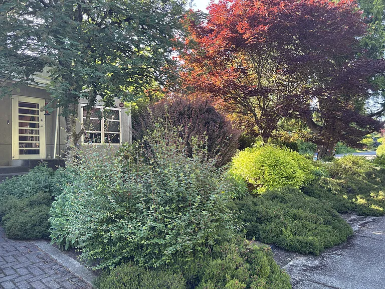 Landscape was meticulously designed with beautiful trees, shrubs, and flowers showing off the beauty of the Pacific Northwest, giving privacy, shade, and habitat for birds, pollinators, and deer.