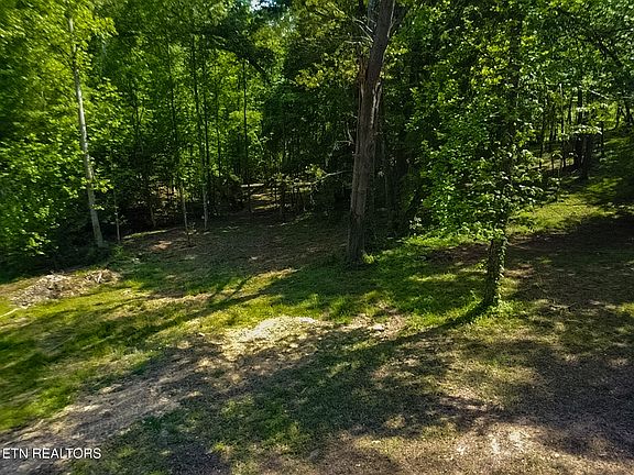 3rd image of 984 Deerwood Dr