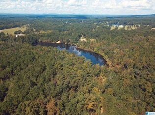 8760 Marsh Mountain Rd #223, Pinson, AL 35126