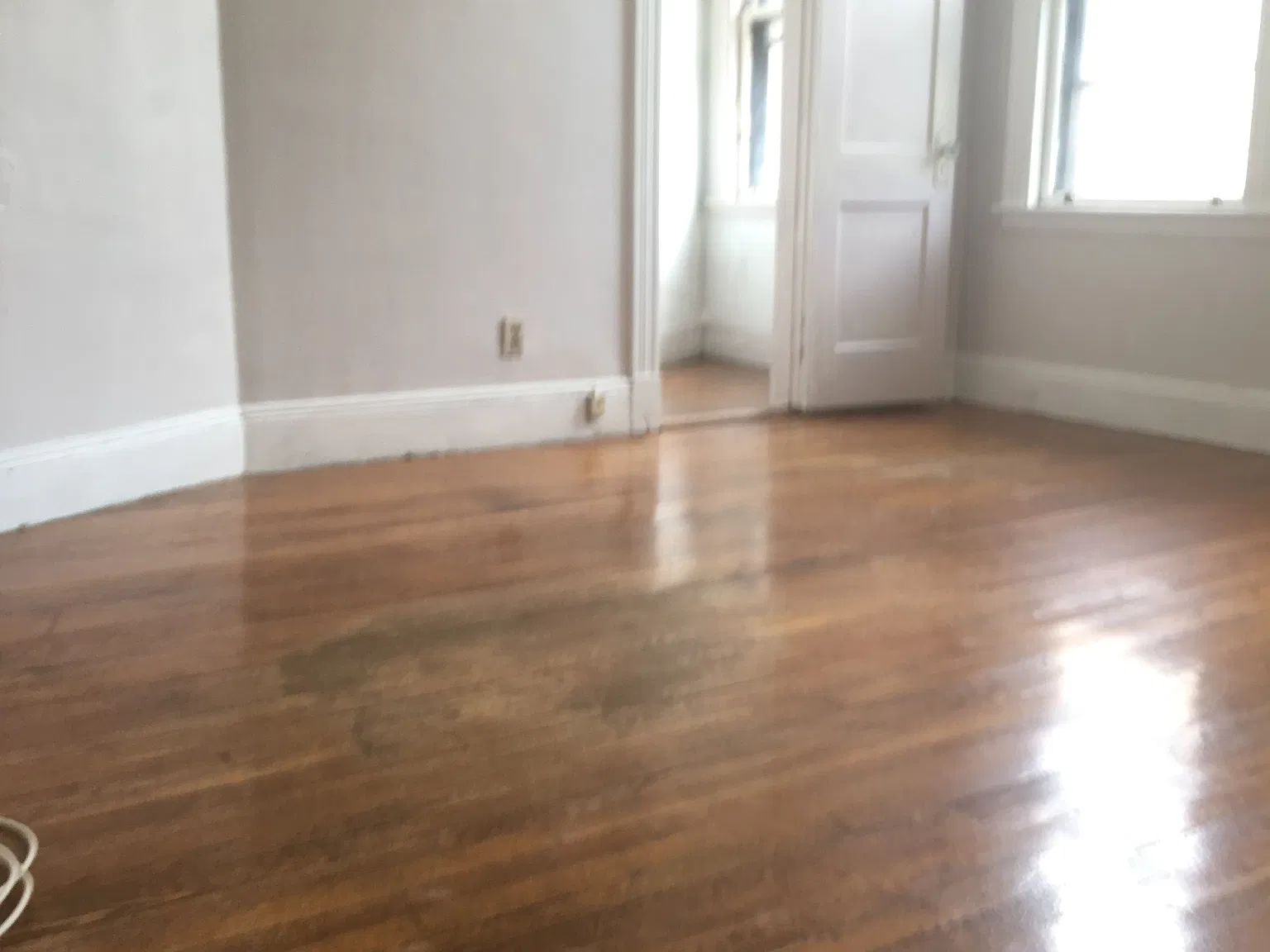 1 bed, 999 sqft, $2,200 — Photo 1