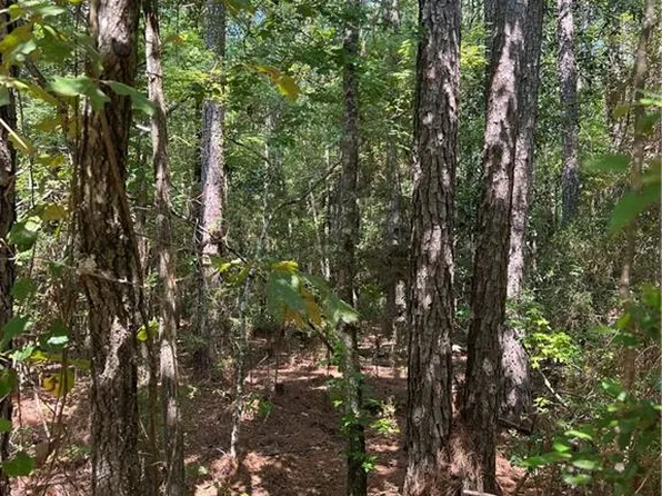 5 Fire Tower Rd, Colfax, LA 71417