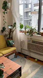 Rented by Terra Magia Inc