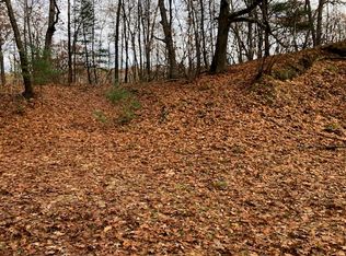 0 Butternut Dr, Lakeview, MI 48850