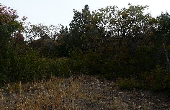 5th image of 12800 E 15200 N Pinecreek Oakcrest #29
