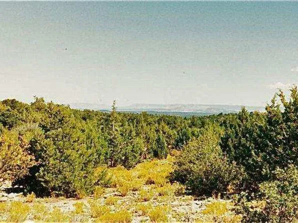 314-54 Nine, Peach Springs, AZ 86434