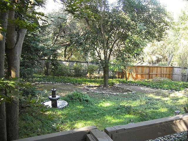 back yard with mature trees