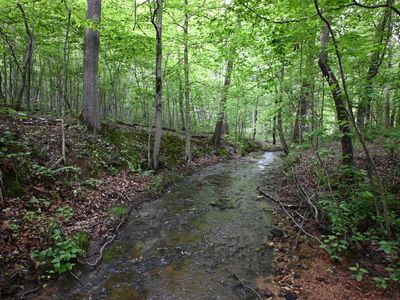 163 Fern Springs Rd, Hohenwald, TN, 38462