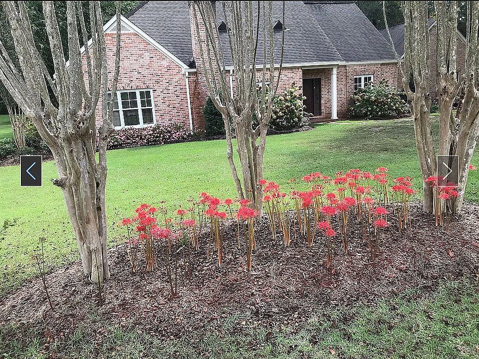 1029 Paige Dr, MS 39648 Zillow