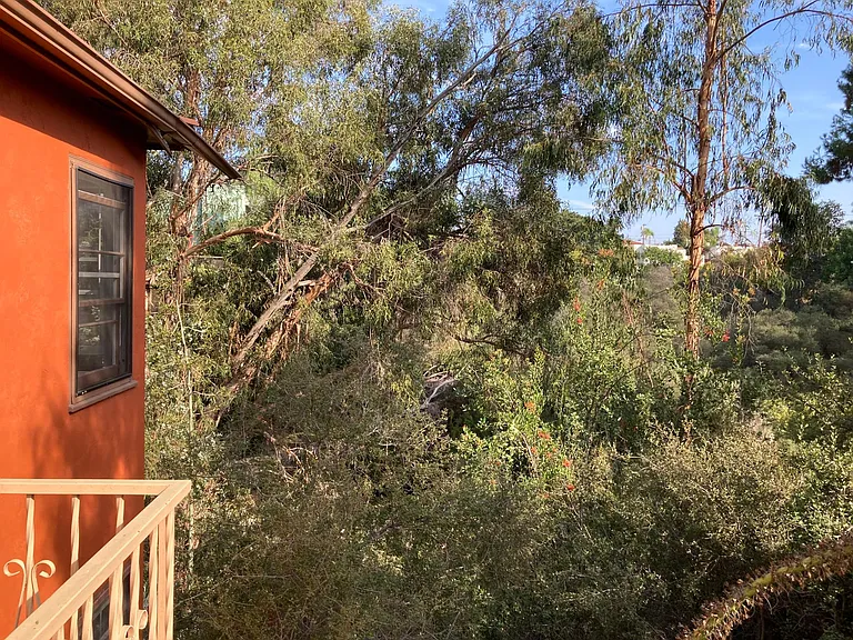 Front Porch View