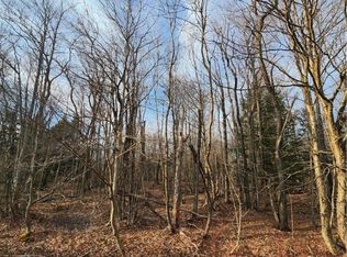 0 Jess Dr #3, Redfield, NY 13437