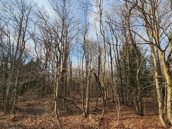 0 Jess Dr #3, Redfield, NY 13437