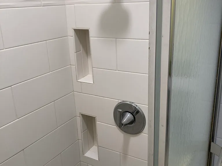 Master shower.