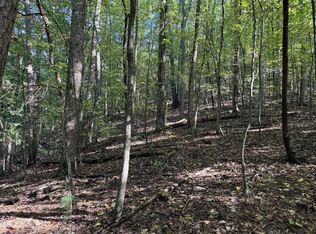J349 Mountain View Ct, Ellijay, GA 30536