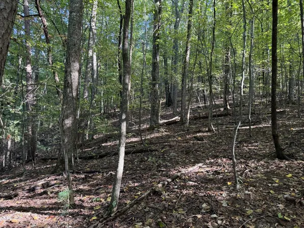J349 Mountain View Ct, Ellijay, GA 30536